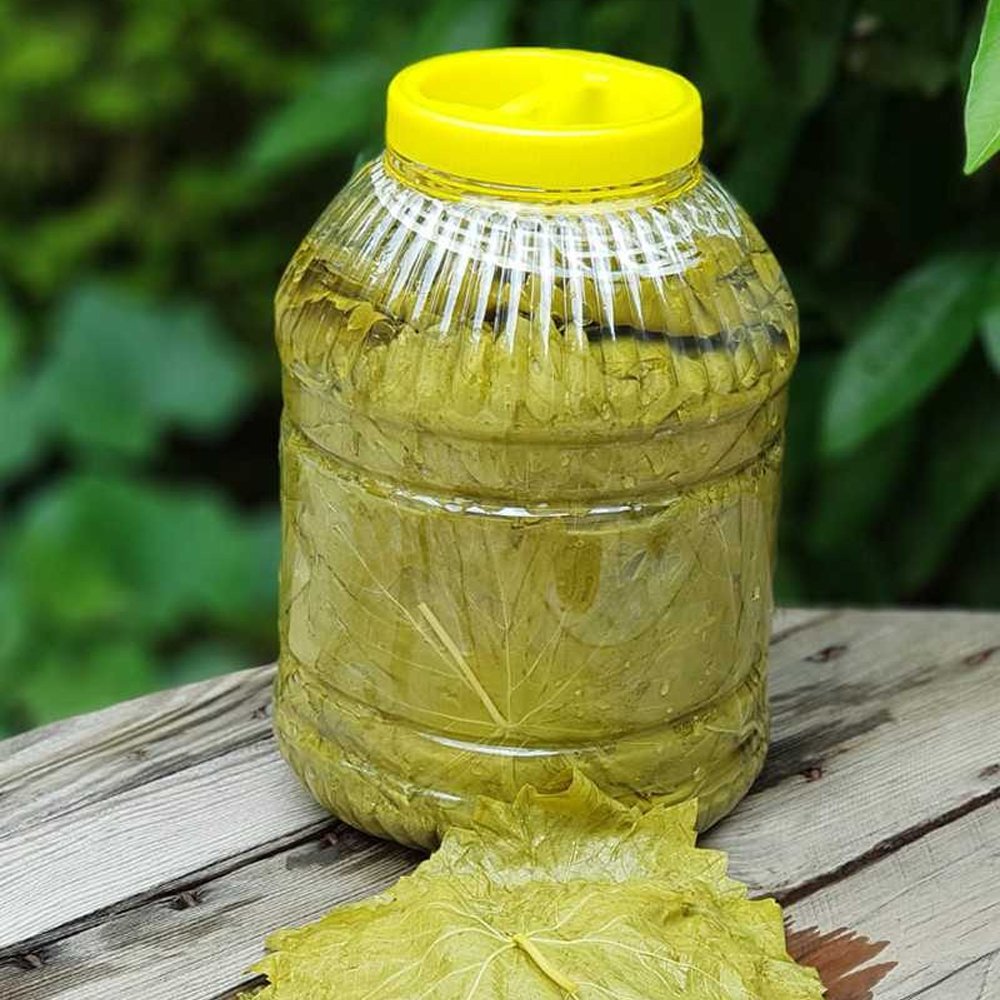 Salamura Yaprak ( 5 kg )